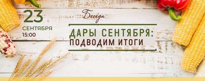 Дары сентября: собираем, пересаживаем, подводим итоги Дары сентября: собираем, пересаживаем, подводим итоги